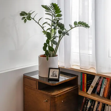 Kurkowa * קרקוב